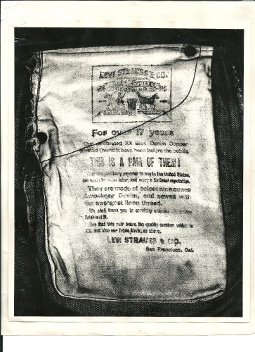 CalicoPocket3-363x500