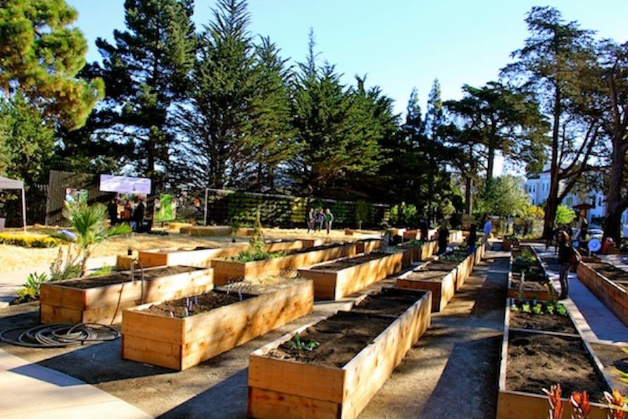 Golden Gate Garden Levi Strauss Planters