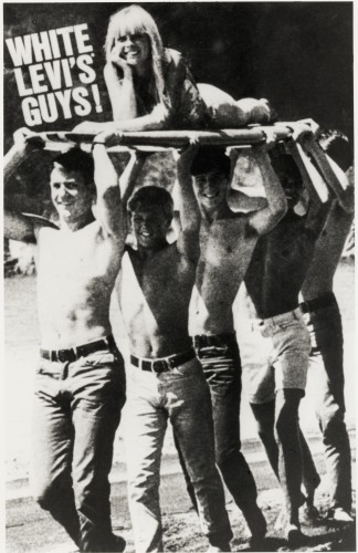 LevisSurf