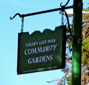 Community Gardens